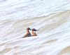 Red-necked Phalarope at Bowers Marsh (RSPB) (Graham Oakes) (129796 bytes)