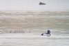 Ring-necked Duck at Bowers Marsh (RSPB) (Paul Baker) (54425 bytes)