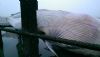 Minke Whale at Shoebury East Beach (Neil Chambers) (58738 bytes)